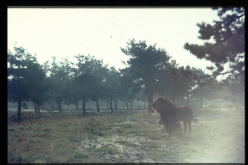 10.Beeksebergen sep 1972.JPG